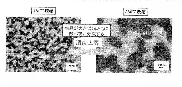 6089186-超微細粉末、高強度鋼焼結体及びそれらの製造方法 図000016