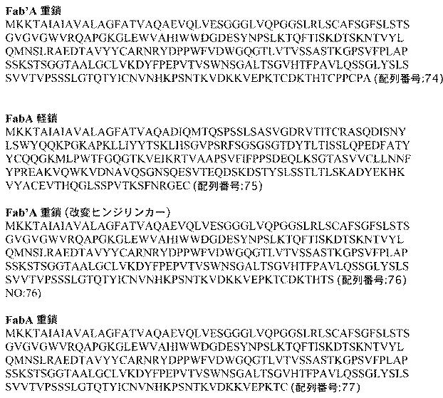 6106640-二重特異性抗体の融合体 図000016