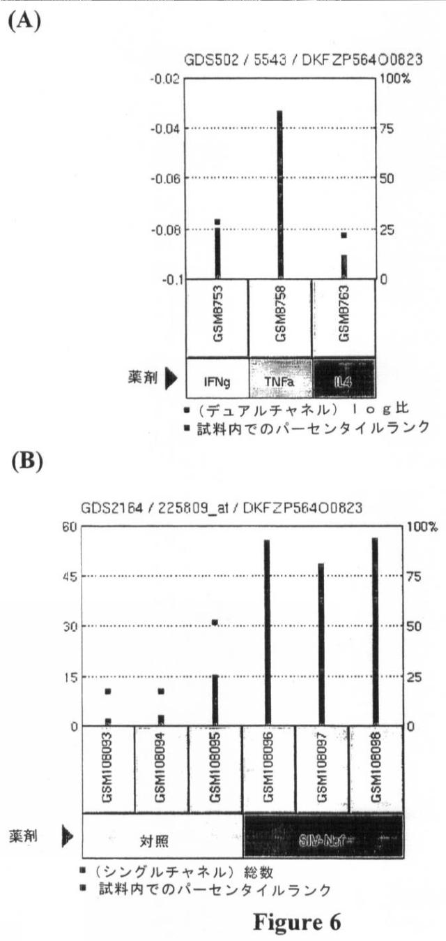 6244226-過敏性腸症候群の処置および予防のための組成物および方法 図000016