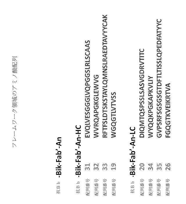 6244350-ヒト化およびキメラ抗因子Ｂｂ抗体、ならびにその使用 図000016