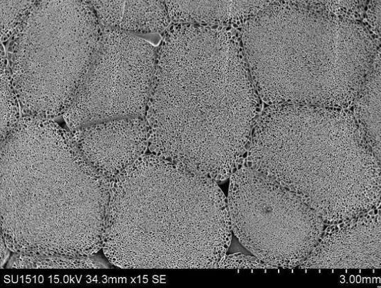 6253839-エステル系エラストマー発泡成形体、その用途及びエステル系エラストマー発泡粒子 図000016