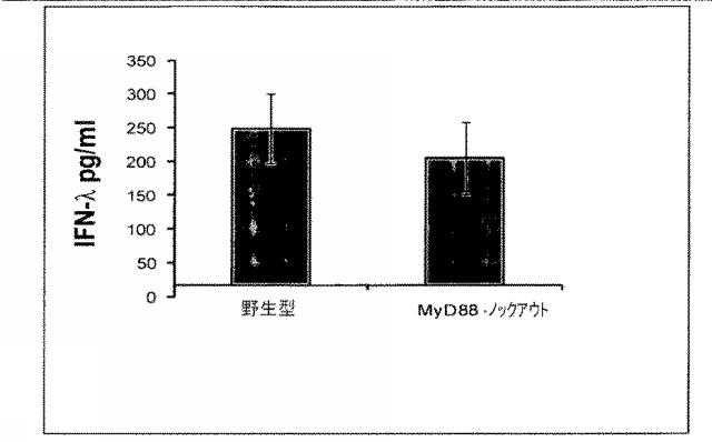 6263559-従来型樹状細胞によるＩＦＮ‐ラムダの産生及びその使用 図000016