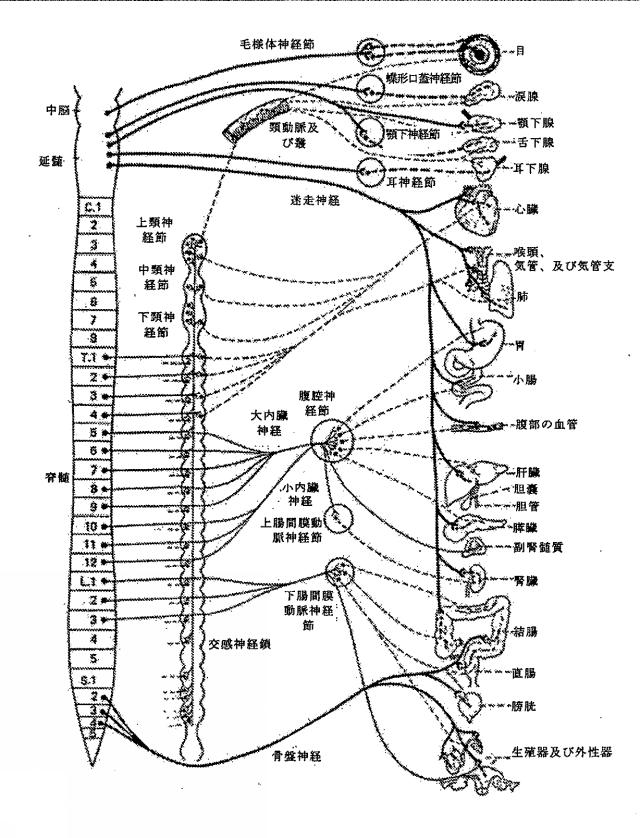 6267774-神経変調療法の評価及びフィードバックのためのデバイス、システム、及び方法 図000016