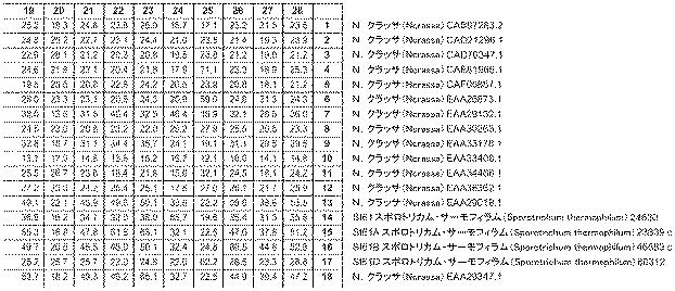 6290626-糖化プロセスにおける粘度を低下させる方法 図000016