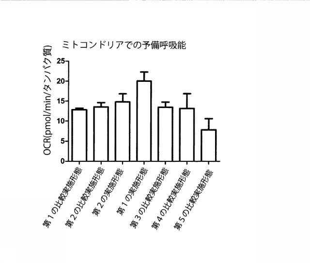 6329234-ミトコンドリアを改善する方法および幹細胞の細胞分裂を促進する方法 図000016