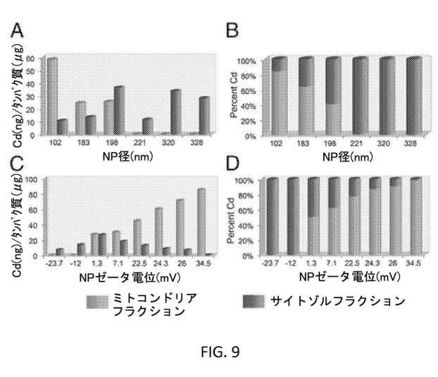 6356614-薬剤のミトコンドリア輸送のためのナノ粒子 図000016