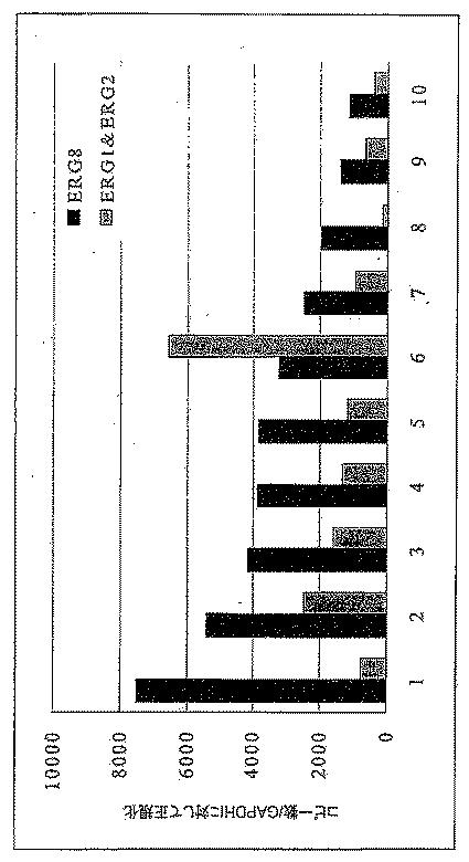 6383743-ＥＲＧ遺伝子発現における前立腺癌特異的変化ならびにそれらの変化に基づく検出および治療方法 図000016