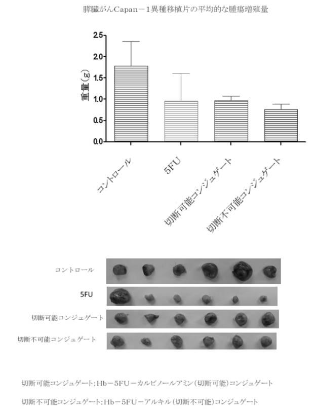 6392855-がん治療および診断イメージングのための修飾ヘモグロビンベース系治療剤を含む医薬組成物 図000016