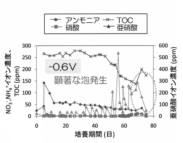 6396269-窒素代謝微生物の活性化方法 図000016