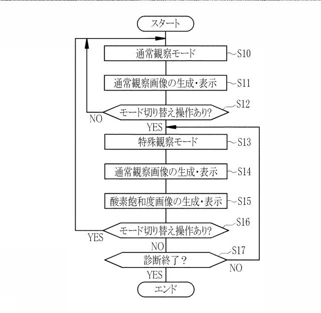 6444450-内視鏡システム、内視鏡システムのプロセッサ装置、及び内視鏡システムの作動方法 図000016