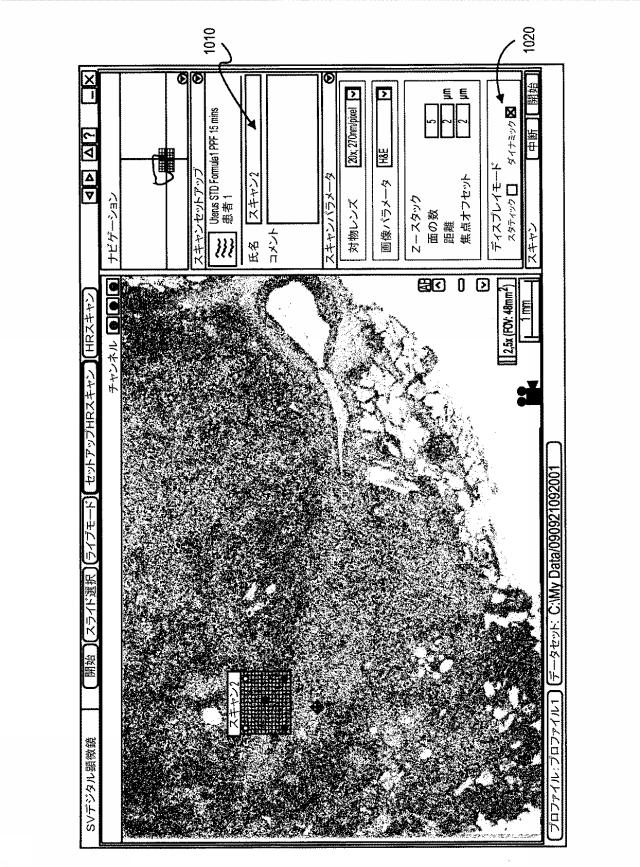 6462763-デジタル顕微鏡を備えたシステム及びこれを用いた試料の検査方法 図000016