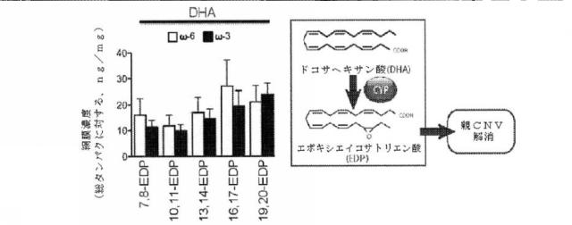 6526570-炎症及び血管形成を減少させるＣＹＰ４５０脂質メタボライト 図000016