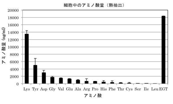 6616328-エルゴチオネインの産生方法 図000016