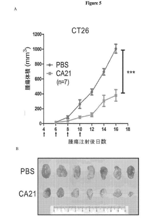 6702938-アンタゴニストＩＣ  ＣＴＬＡ−４アプタマー及びその免疫活性増強への応用 図000016