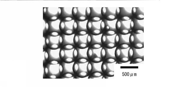 6755009-多孔フィルム、多孔フィルム製造方法、マイクロレンズアレイ、マイクロリアクターおよびバイオデバイス 図000016
