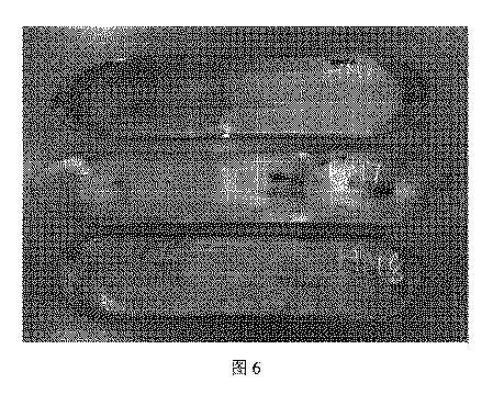 6783871-向上された弾性率を有する軽量鋼、鋼板およびその製造方法 図000016