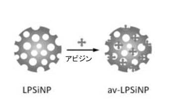 6894423-融合性リポソーム被覆多孔質ケイ素ナノ粒子 図000016