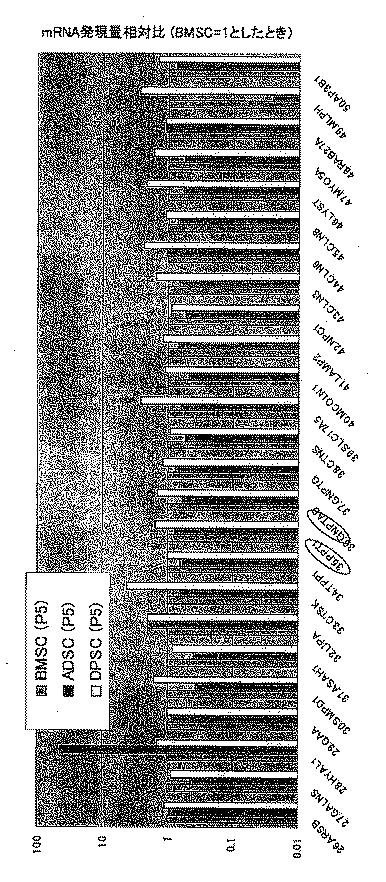 6903295-ライソゾーム病処置剤 図000016