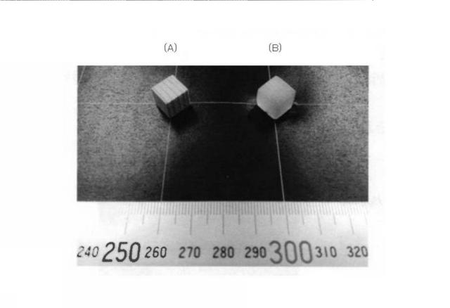 6941328-木材及び木材の製造方法 図000016