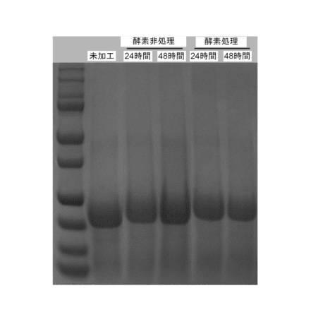 6946277-穀物粉中のタンパク質を濃縮する方法 図000016