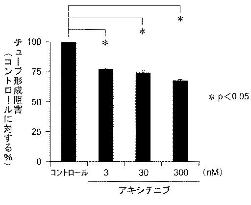 6952980-血管新生阻害薬 図000016