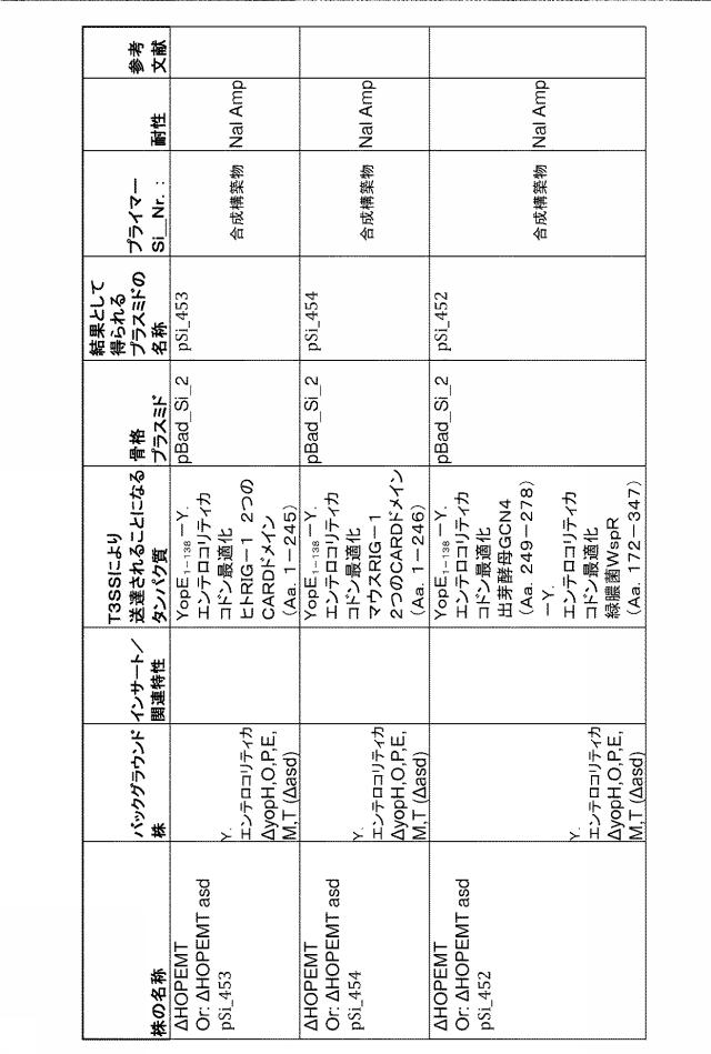 6976351-弱毒化細菌に基づくタンパク質送達 図000016