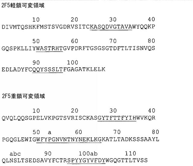 5662912-ＶＥＧＦ−Ｂアンタゴニストを含む癌治療方法 図000017