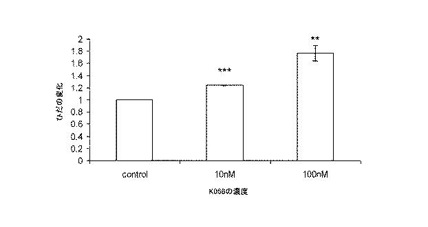 5693243-フラボノール化合物、生物活性抽出物又はフラクション、薬理学的組成物、医薬品及び製造方法 図000017