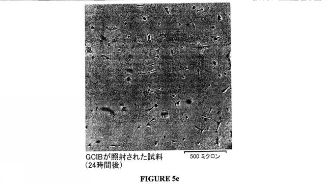 5701783-表面の生物活性特性を改善する方法とこの方法によって改善された表面をもつ物体 図000017