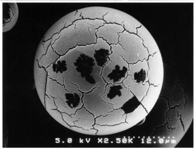 5728739-保湿性粒子の製造方法 図000017