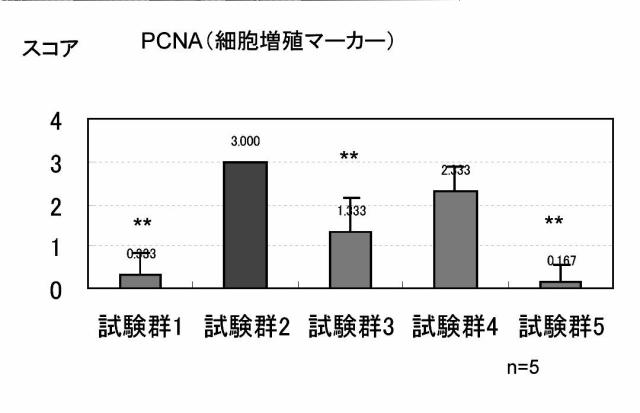 5798294-コラーゲンゲル収縮剤 図000017