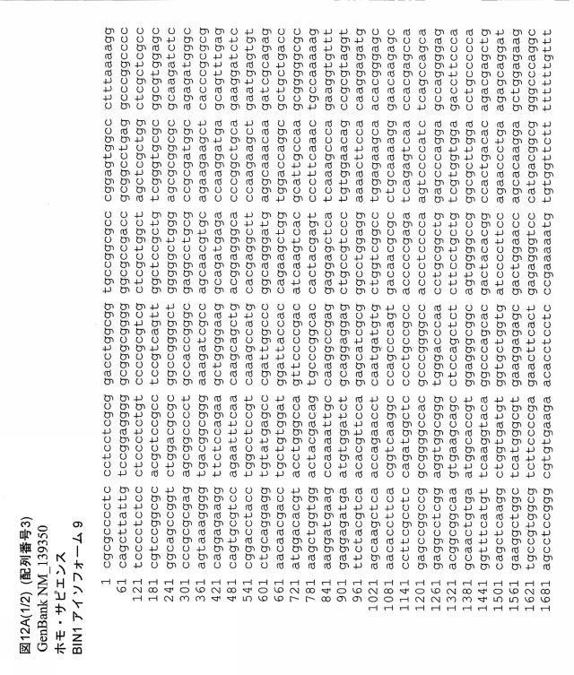 5802197-心血管疾患における予後診断マーカーとしてのＢＩＮ１ 図000017