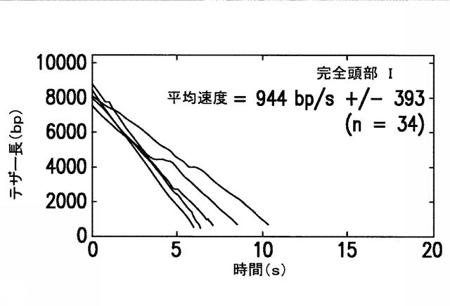 5863766-タンパク質および核酸送達媒体、その成分および機構 図000017