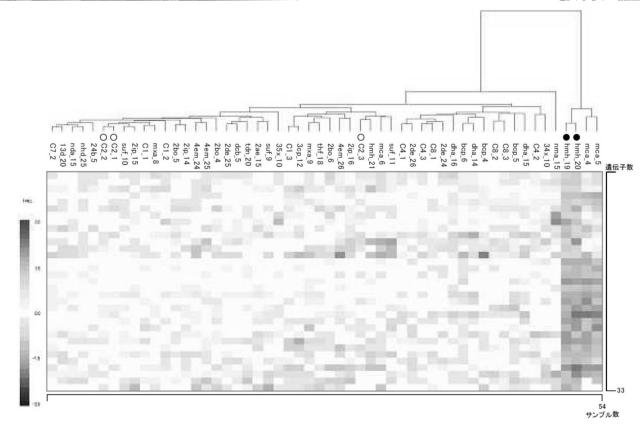 5874876-化学物質の生体に対する影響の評価方法 図000017