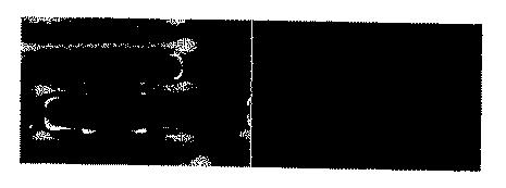 5907658-自己消失性コーティング 図000017