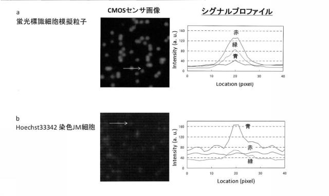 5928937-細胞解析装置及び細胞解析方法 図000017