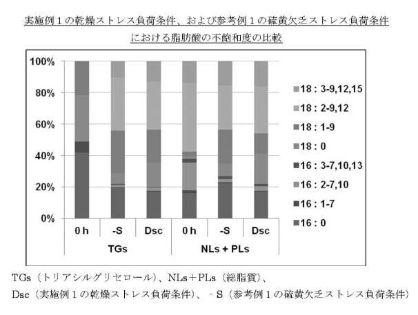 5943361-トリアシルグリセロールの製造方法 図000017