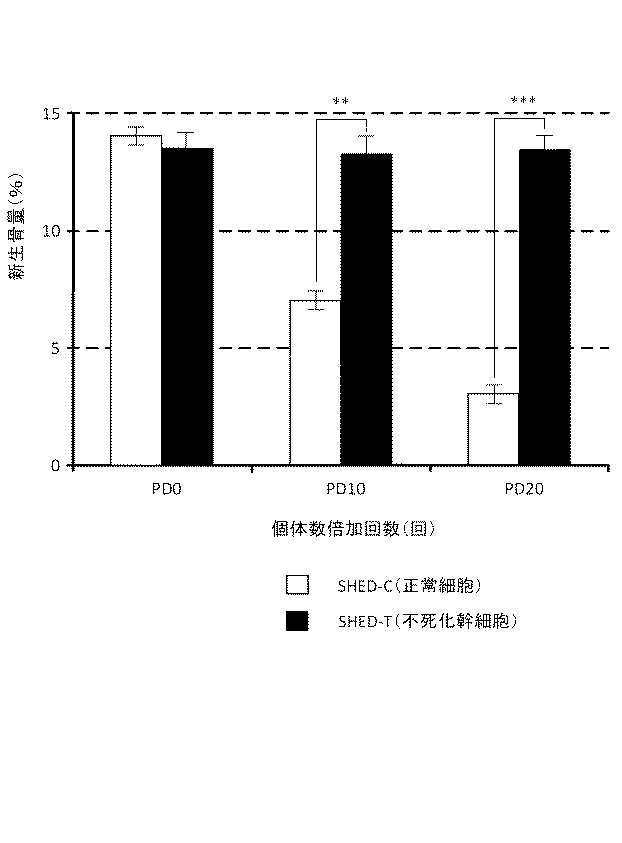 6010112-不死化幹細胞及びその産生物を有効成分とする医薬組成物並びに医薬製剤 図000017
