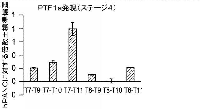 6050225-ヒト胚性幹細胞の分化 図000017