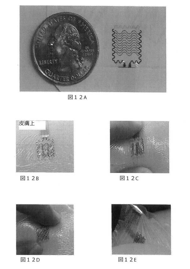 6189511-組織の状態を検出する電子装置 図000017