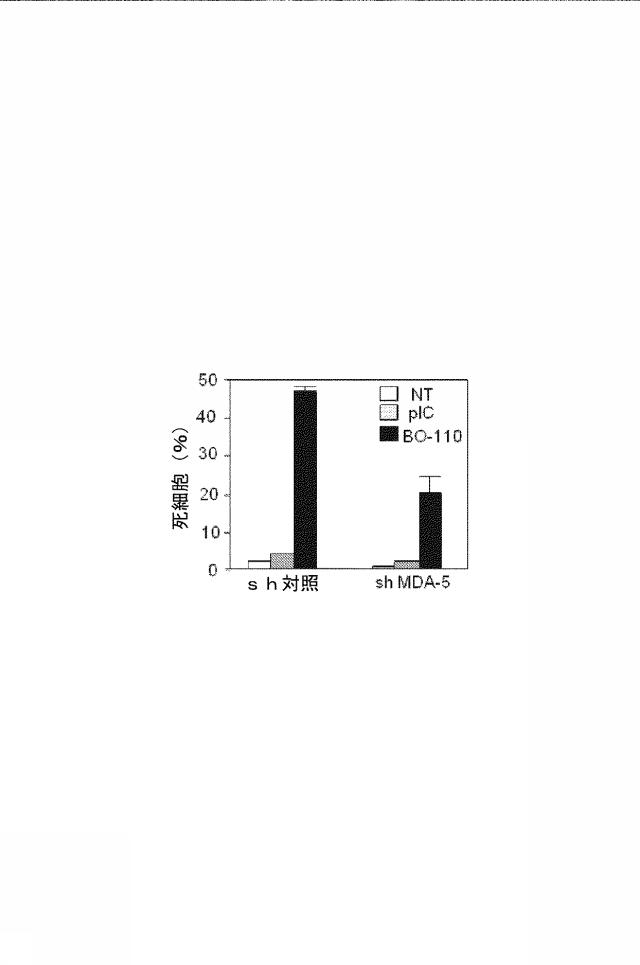 6222749-医薬組成物及びその使用 図000017