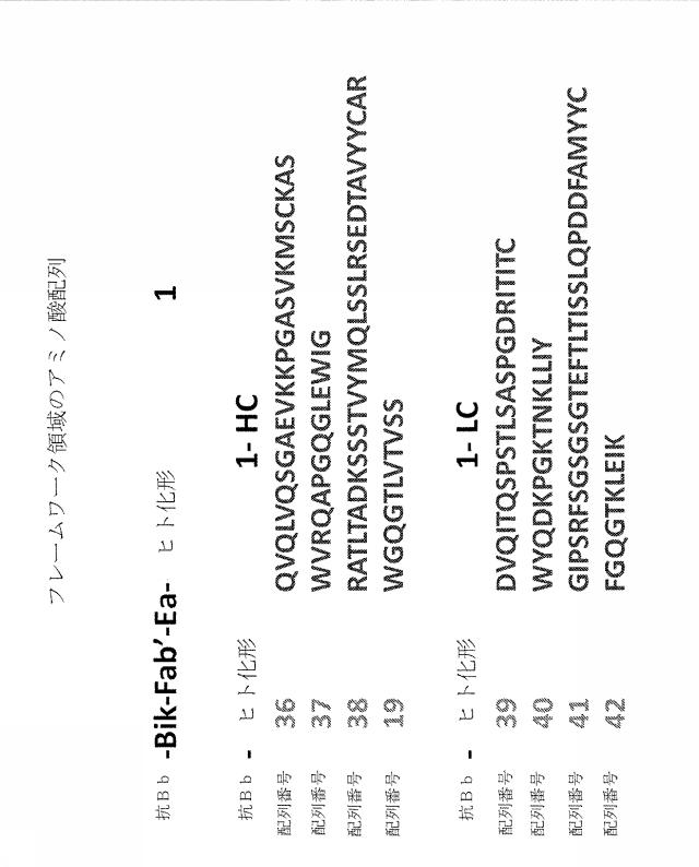 6244350-ヒト化およびキメラ抗因子Ｂｂ抗体、ならびにその使用 図000017