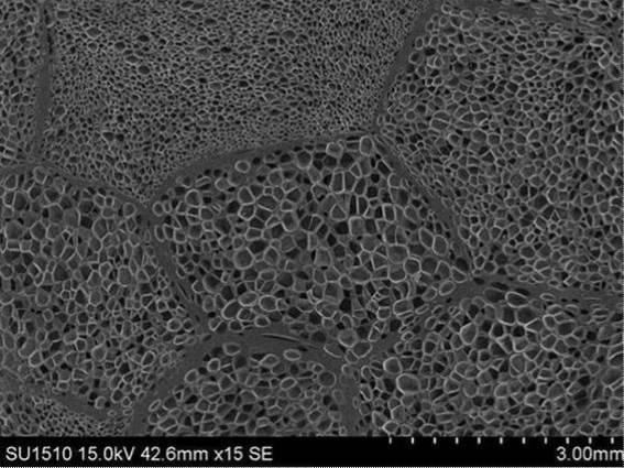 6253839-エステル系エラストマー発泡成形体、その用途及びエステル系エラストマー発泡粒子 図000017