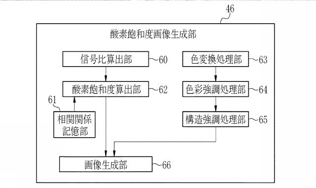 6254502-内視鏡用光源装置及び内視鏡システム 図000017