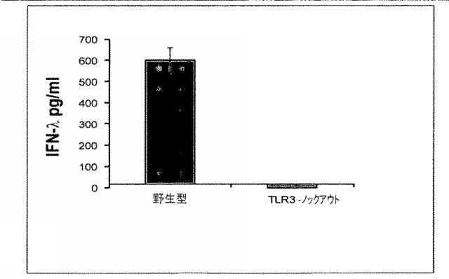 6263559-従来型樹状細胞によるＩＦＮ‐ラムダの産生及びその使用 図000017