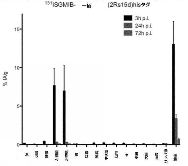 6289733-癌の予防及び／又は治療に用いるための放射標識抗体断片 図000017