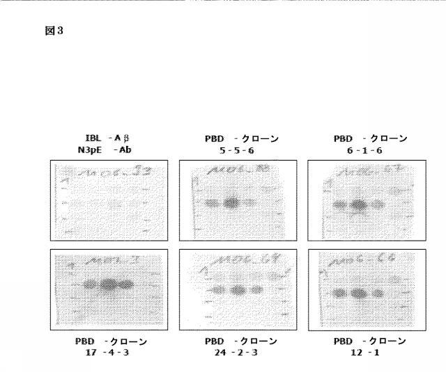 6307483-診断用抗体アッセイ 図000017