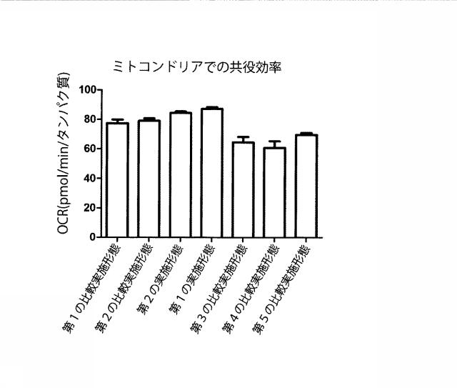 6329234-ミトコンドリアを改善する方法および幹細胞の細胞分裂を促進する方法 図000017