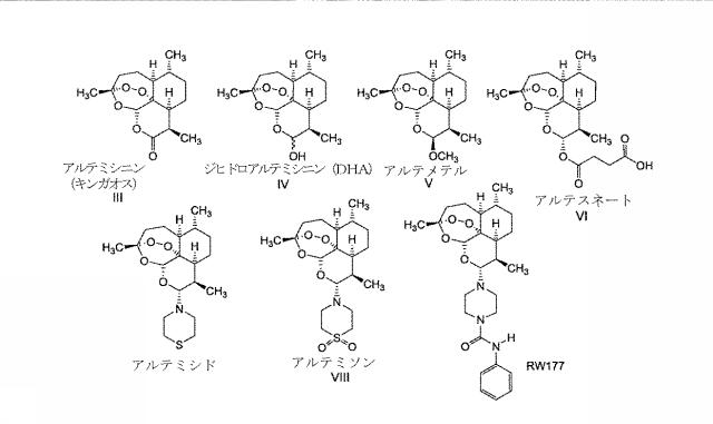 6335877-ウイルス感染を治療する方法および組成物 図000017