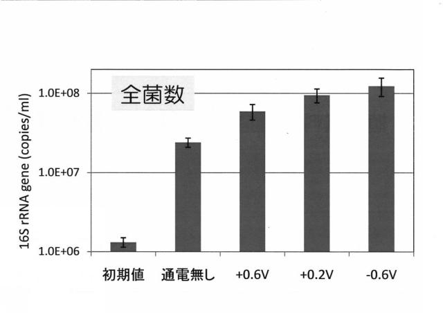 6396269-窒素代謝微生物の活性化方法 図000017